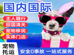 西双版纳嘎洒机场空运国际宠物托运 【国